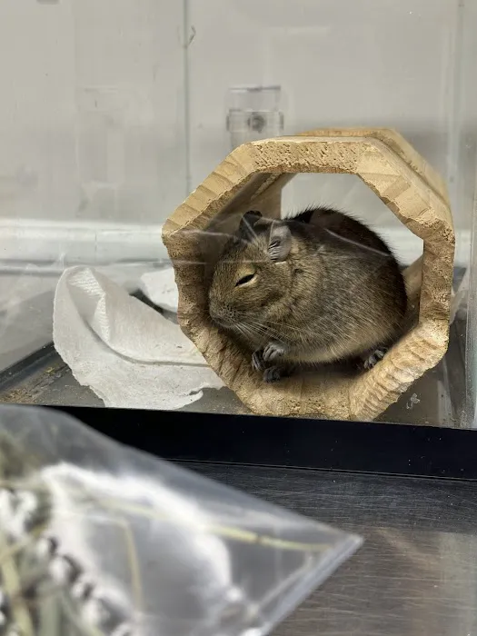 Animal Care of Greenville 3