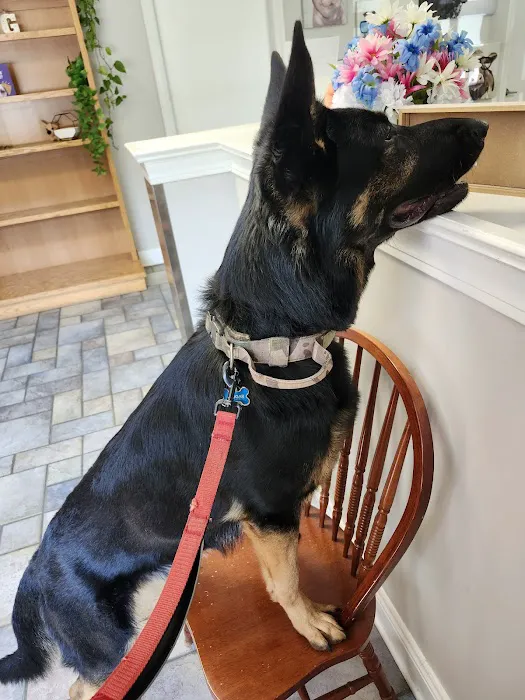 Animal Care of Greenville 5