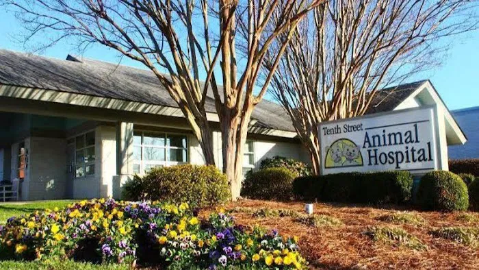 Tenth Street Animal Hospital 1