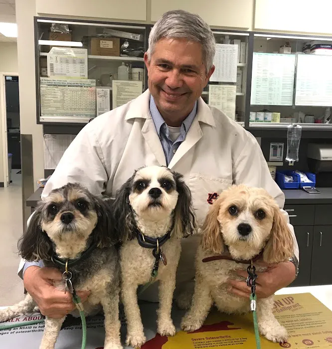 Tenth Street Animal Hospital 9