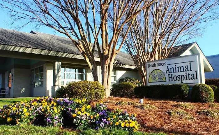 Tenth Street Animal Hospital 5