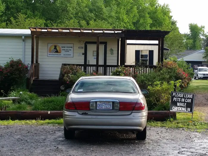 Spay Today, Inc. 1
