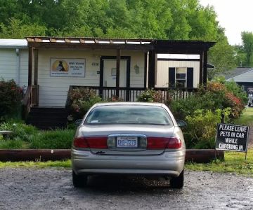 Spay Today, Inc.