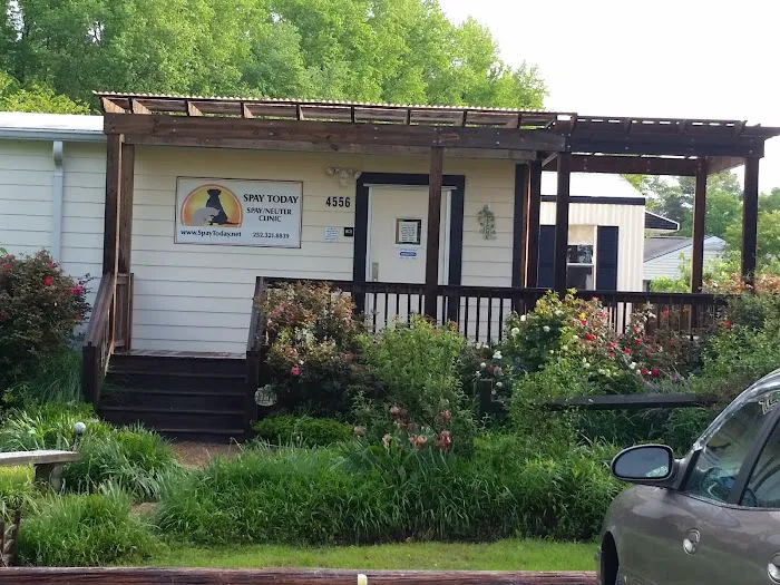 Spay Today, Inc. 2