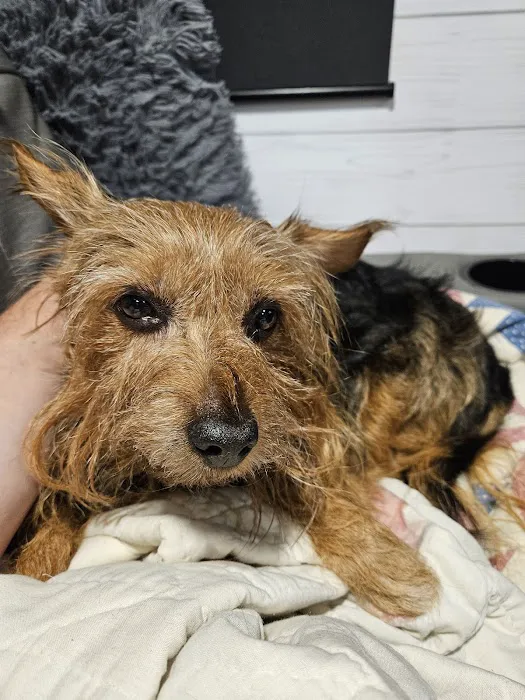 Faithful Friends Vet Hospital 12