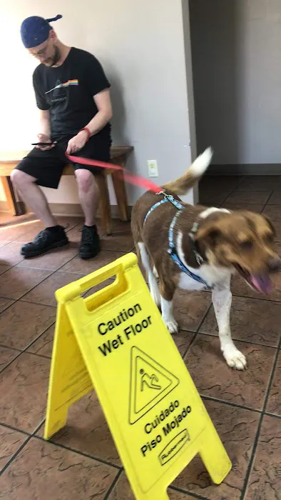 Rutledge Animal Clinic 12