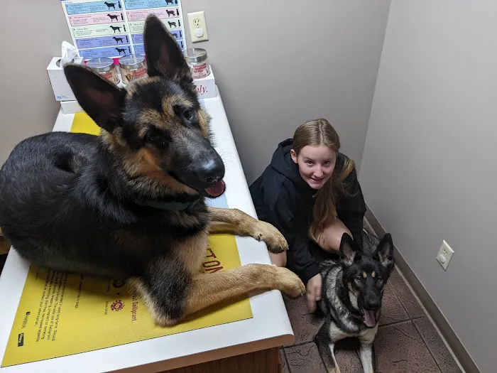 Rutledge Animal Clinic 12