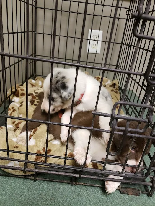 Union County Animal Hospital 1