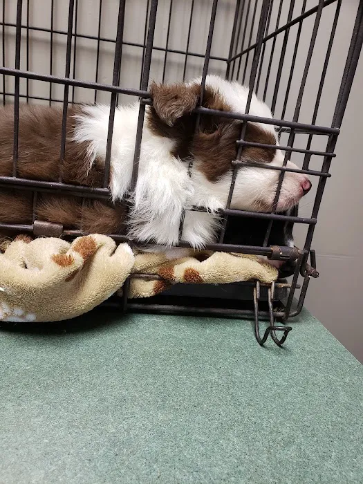 Union County Animal Hospital 7
