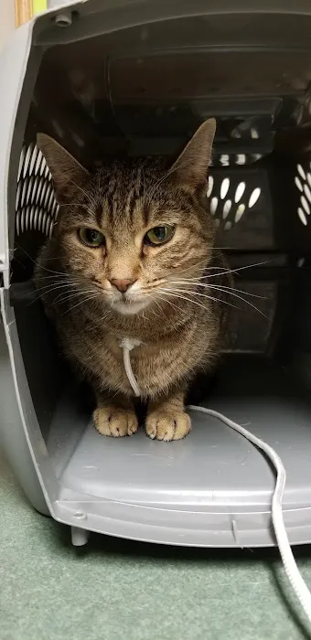 Union County Animal Hospital 2
