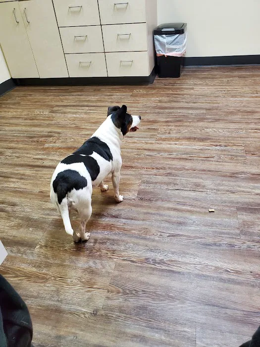 Blaine Veterinary Clinic 12