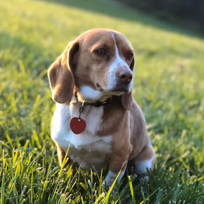 Blaine Veterinary Clinic 12
