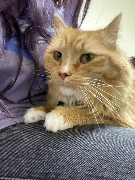 Blaine Veterinary Clinic 12