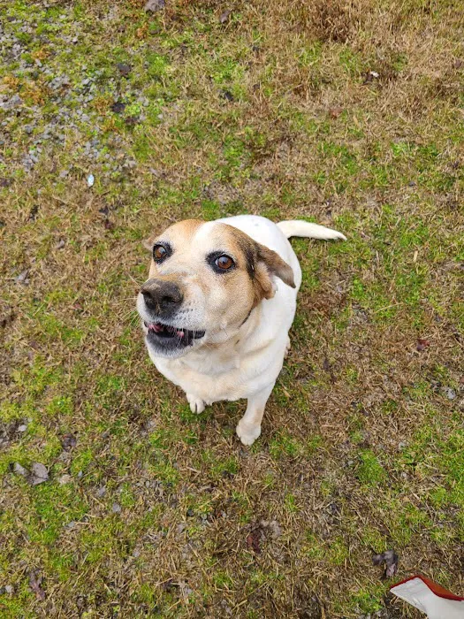 Blaine Veterinary Clinic 12