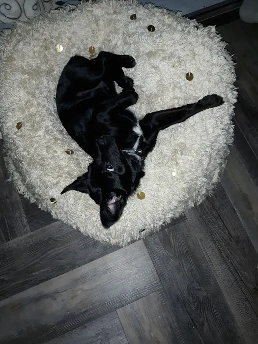 Anderson County Animal Hospital: Roberts Tara DVM 12