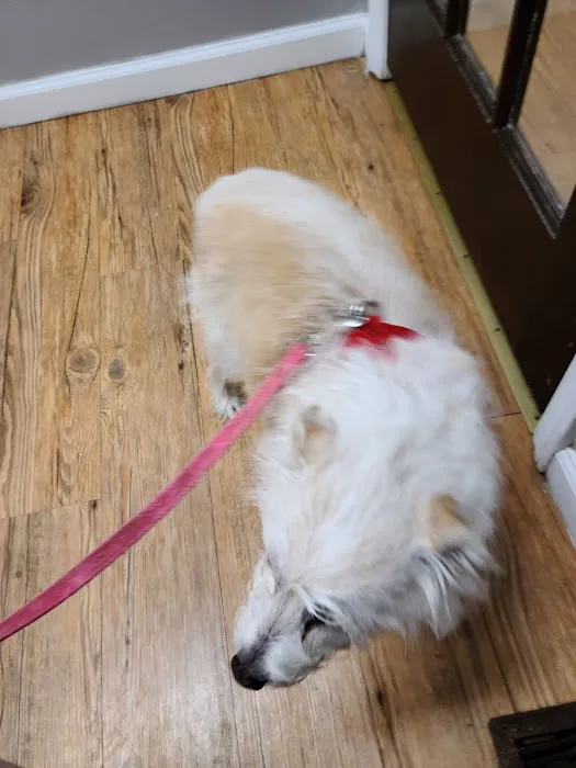 Anderson County Animal Hospital: Roberts Will DVM 12