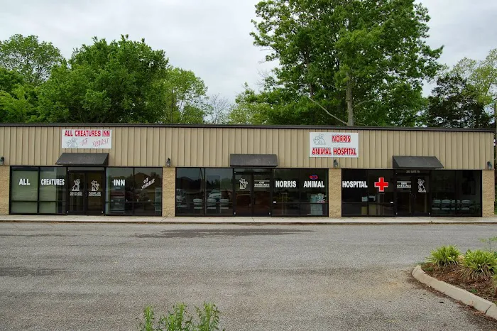 Norris Veterinary Animal Hospital 12