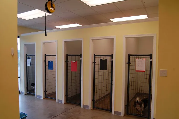 Norris Veterinary Animal Hospital 12