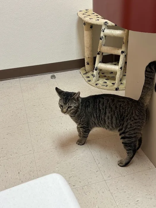 Norris Veterinary Animal Hospital 12