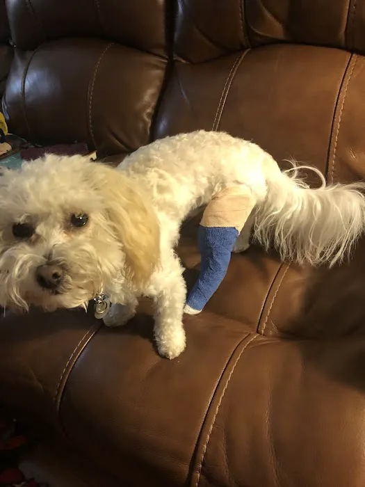 Clinton Animal Hospital 12