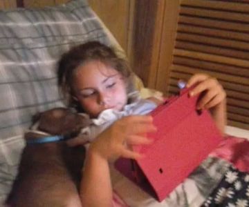 Anderson County Animal Hospital: Wilson Melissa DVM