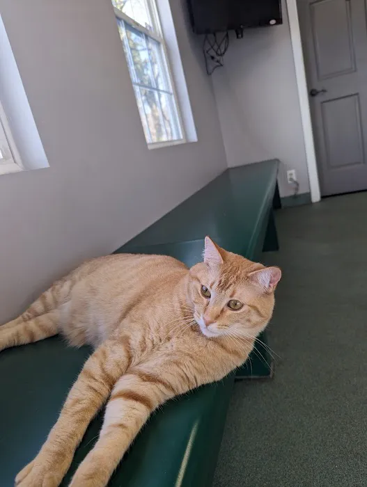 Anderson County Animal Hospital 12