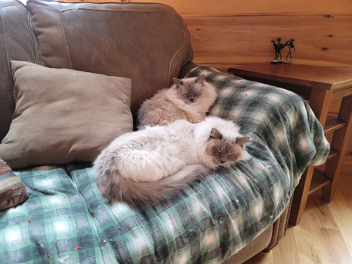 Highland Veterinary Hospital 12