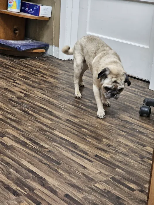 Highland Veterinary Hospital 12