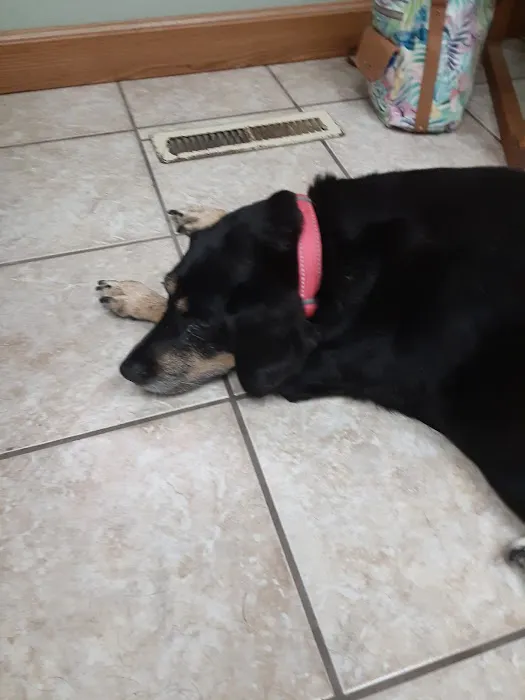 Garner Veterinary Clinic 3