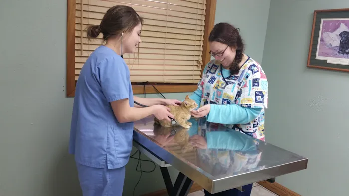 Garner Veterinary Clinic 7