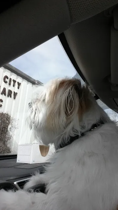 Forest City Veterinary Clinic 3