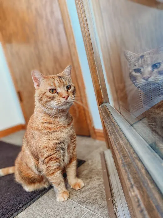 Parkview Animal Hospital 9