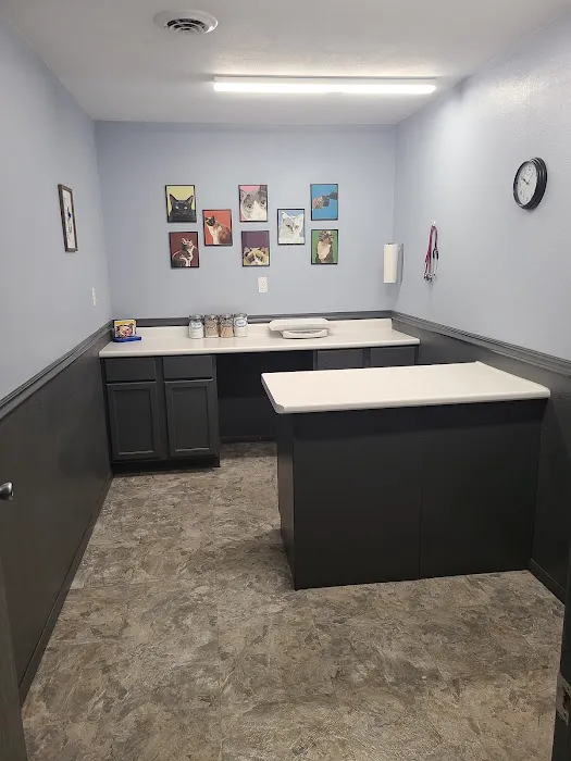 Central Iowa Veterinary Services 3