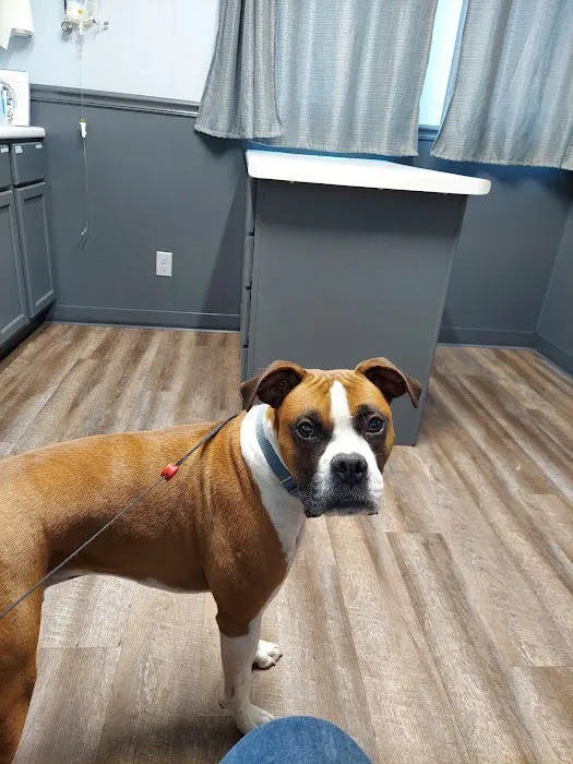 Central Iowa Veterinary Services 7