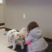 Steckelberg Veterinary Clinic ico