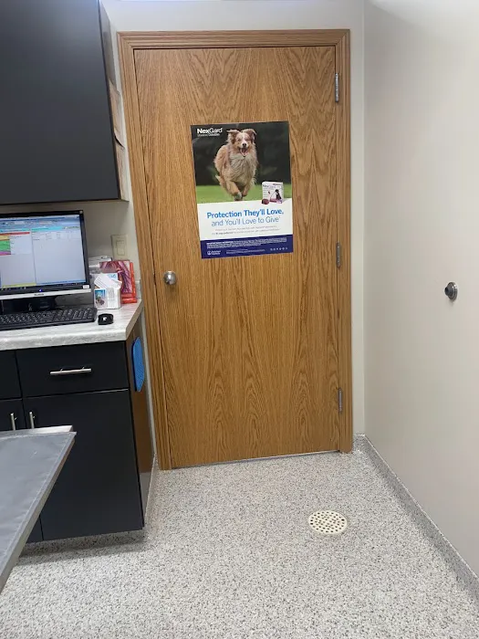 Steckelberg Veterinary Clinic 3