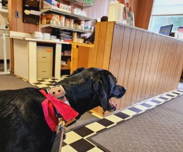 South Hardin Veterinary Clinic
