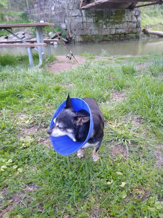 Town & Country Animal Hospital 12