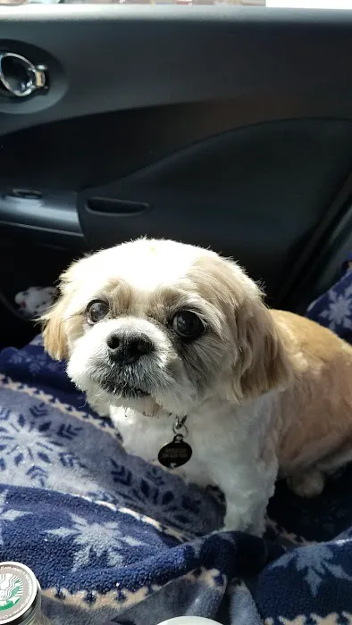 Town & Country Animal Hospital 12