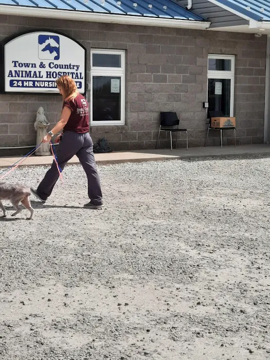 Town & Country Animal Hospital 12