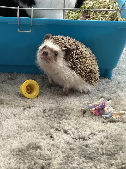 Animal Urgent Care Center 8