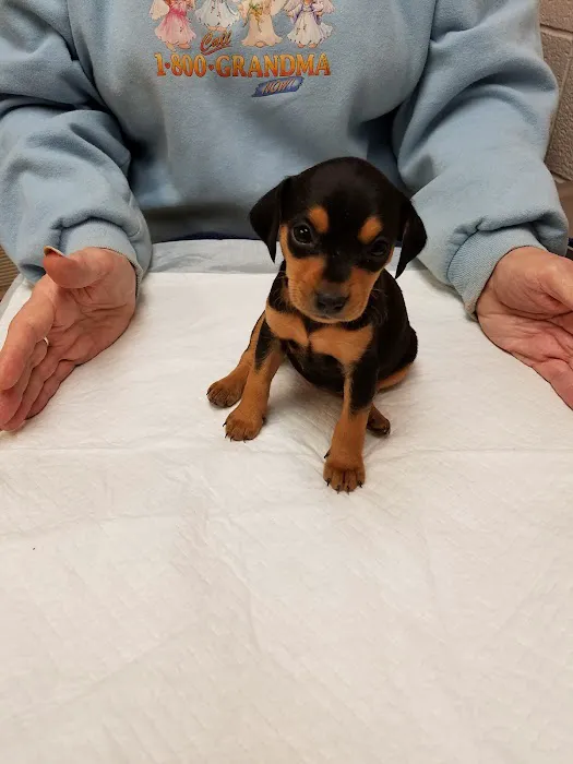 Animal Urgent Care Center 9