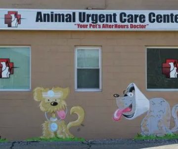 Animal Urgent Care Center