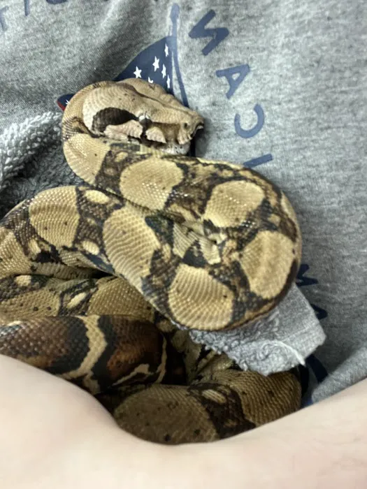 Animal Urgent Care Center 10