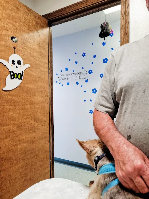 Elm Grove Animal Hospital 12