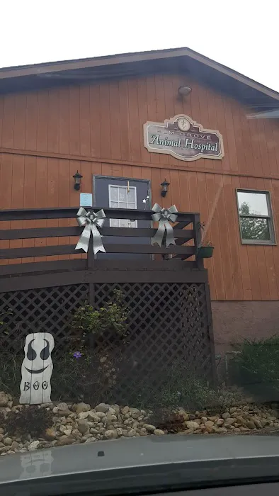 Elm Grove Animal Hospital 12