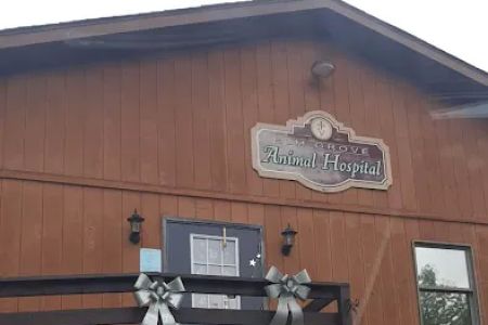 Elm Grove Animal Hospital