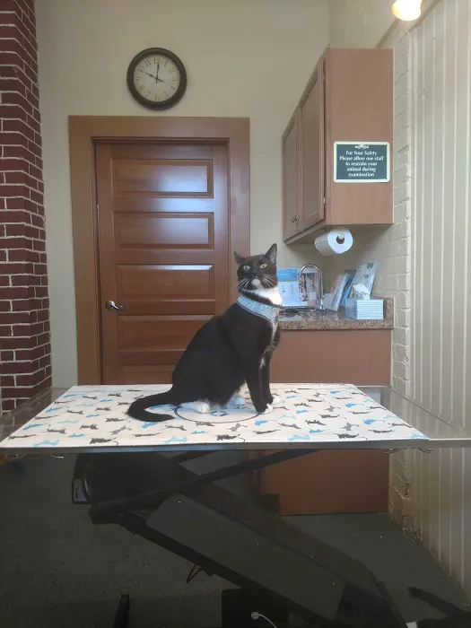 Wheeling Veterinary Associates 12