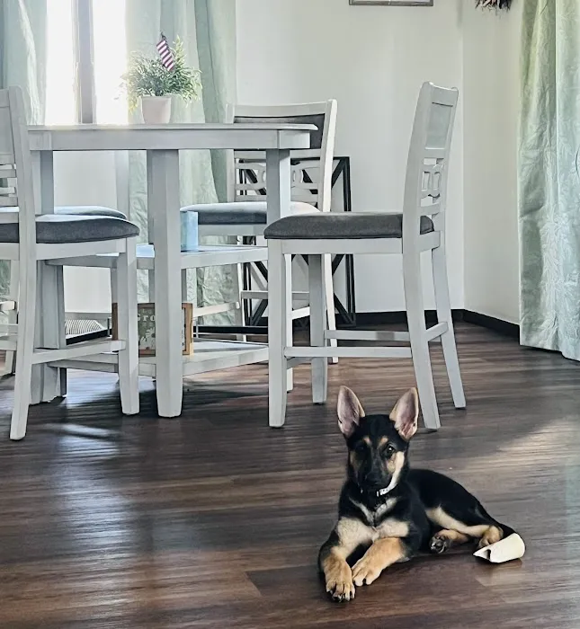 Redwood Veterinary Hospital 12