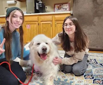 K.E.Y. Animal Hospital